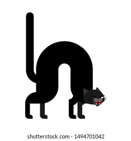 Angry cat. Attacker pet. Home Animal vector  