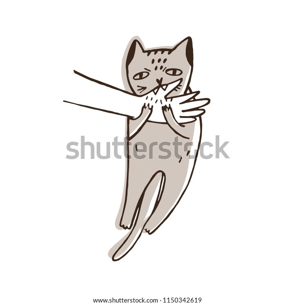 白い背景に怒った猫が持ち主の手をかむ 攻撃的で 悪い子 怒り狂った子猫 家畜に対する反抗 ペットの攻撃の問題 手描きのベクターイラスト のベクター画像素材 ロイヤリティフリー