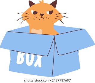 Angry Cat In Box Vector Illustration