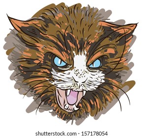 Angry Cat Head