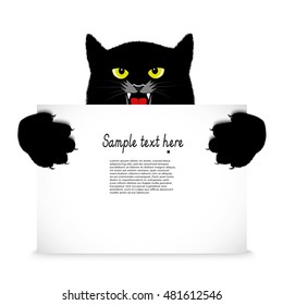 angry cat holds a banner