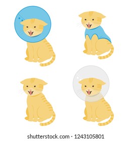 An angry cat illustration