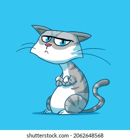 Angry cat. Isolated kitty. Its Fun