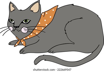 Angry cat or not angry cat