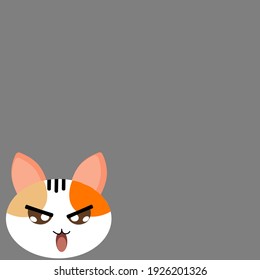 Angry cat on gray background for background and texture concept 