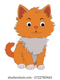 Angry cat on white background