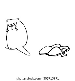 Angry cat peed in sneakers