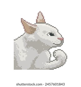 Angry cat, pixel art meme