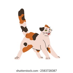 Angry cat is in pose with tail up, hisses with anger. Furious kitten grins, feels rage. Behavior of frightened, mad pet, crazy domestic animal. Flat isolated vector illustration on white background