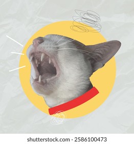 Angry cat with retro 60s 70s cartoon style, Vector illustration