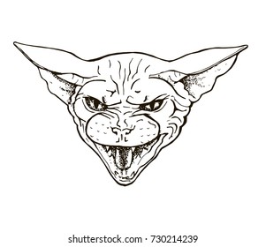 angry cat of the Sphinx breed, head of a bared cat, portrait, black and white graphic vector illustration