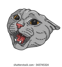 Angry cat. Vector illustration