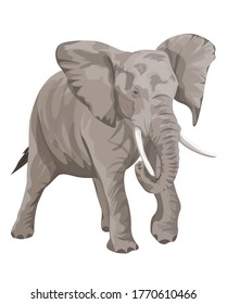 Angry Charging African Elephant Design