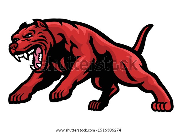 angry charging pitbull dog\
attacking