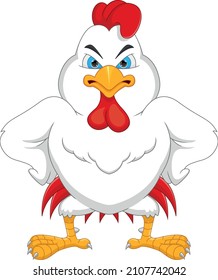 angry chicken cartoon on white background