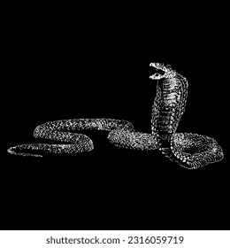 angry cobra hand drawing vector isolated on black background.