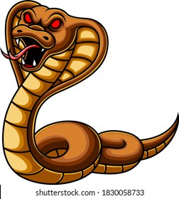 Angry cobra snake cartoon of illustration