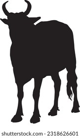angry cow illustration, cow vector suitable for eid al adha logo, cow silhouette suitable for qurban coupon background