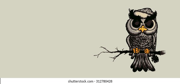 Angry but cute looking owl sitting on branch.Isolated pencil drawing illustration.
Horizontal banner design