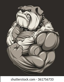 Angry dog bodybuilder