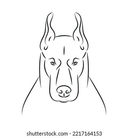 Angry Dog. Doberman. Vector Illustration.