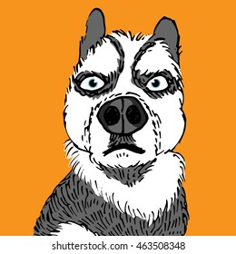 Angry dog. Dog hand draw style isolated on orange background. Vector illustration