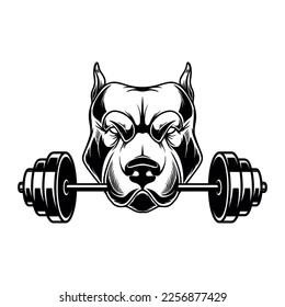 Angry dog head with gym barbell in teeth. Design element for logo, sign, emblem. Vector illustration