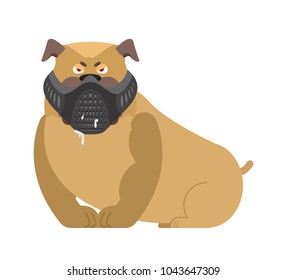 Angry dog in muzzle. Evil Bulldog wearing mask. Home pet aggressive
