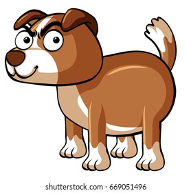 Angry dog on white background