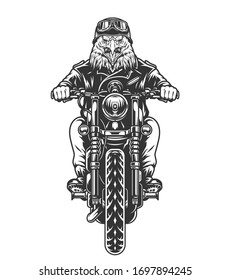 Motociclista de cabeza de águila enojada con casco de motociclista y gafas conduciendo motocicleta en ilustraciones vectoriales aisladas de estilo vintage