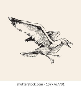 Angry Flying Seagulls Hand Drawing Sketch Vector Illustration.