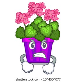 Angry geranium flowers in the cartoon pot