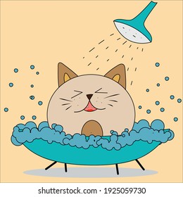 angry ginger cat takes a bath. cat in the bathroom. bubble bath. bubble bath.