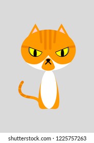 Angry ginger orange tabby cat