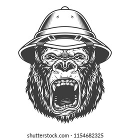 Angry gorilla in monochrome style in safari hat. Vector vintage illustration