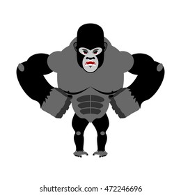 Angry gorilla on its hind legs. Aggressive Monkey on white background. Wild wrathful animal. Large ferocious predator. African strong beast