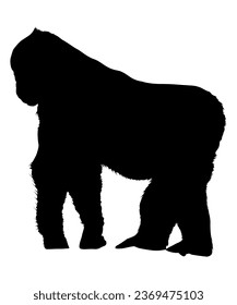 Angry Gorilla  Silhouette Vector Art