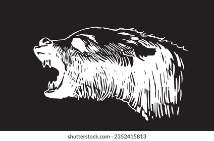 Angry grizzly bear portrait on black ,vector illustration. 