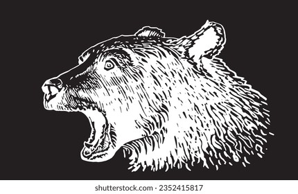 Angry grizzly bear portrait on black ,vector illustration. 