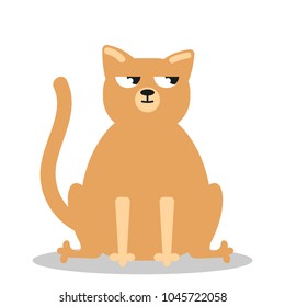 Angry grumpy cat flat vector