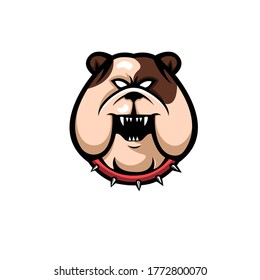 Angry head mascot of bulldog, concept style for sport logo, badge, emblem and t shirt printing