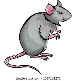 Angry home mouse