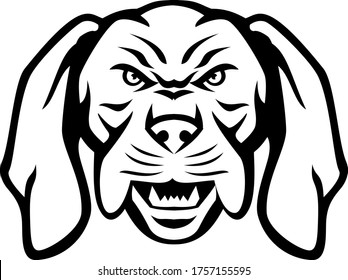 Angry Hungarian Vizsla Dog Head Mascot Black and White