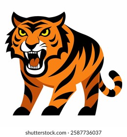 Angry Hunting Tiger On Whit Background For Animation Work
