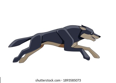 Angry jumping wolf during his hunt. Cartoon character of a dangerous mammal animal. A wild forest creature with dark fur. Side view. Vector flat illustration isolated on a white background.
