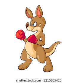 Angry Kangaroo Boxing Isolated On White Background