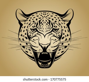 Angry Leopard