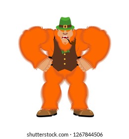 Angry leprechaun face. mad Red-bearded dwarf. St.Patricks Day. Irish traditional holiday. Folk Cultural Festival in Ireland