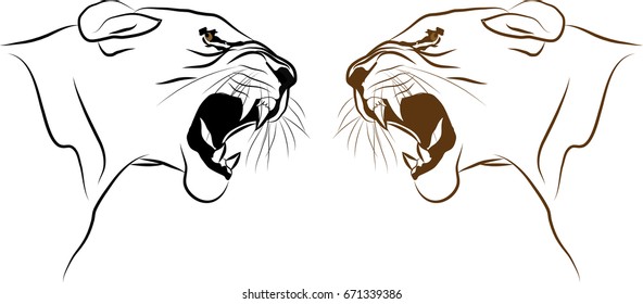 Angry Lioness