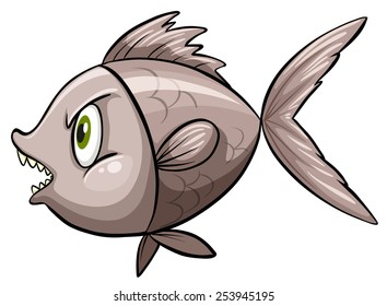 Angry looking fish on white